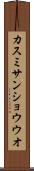 カスミサンショウウオ Scroll