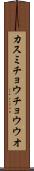 カスミチョウチョウウオ Scroll