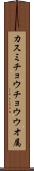カスミチョウチョウウオ属 Scroll