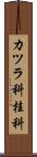 カツラ科 Scroll