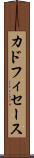 カドフィセース Scroll