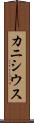 カニシウス Scroll