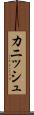 Cannish Scroll