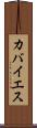 カバイエス Scroll