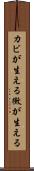 カビが生える Scroll