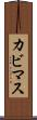カビマス Scroll