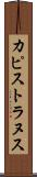 カピストラヌス Scroll