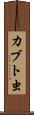 カブト虫 Scroll