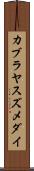 カブラヤスズメダイ Scroll