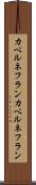 カベルネフラン Scroll