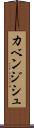 カベンジシュ Scroll