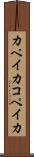カペイカ Scroll