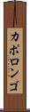 カポロンゴ Scroll