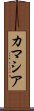 カマシア Scroll