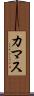 カマス Scroll