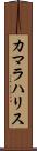 カマラハリス Scroll
