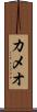 カメオ Scroll