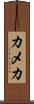 カメカ Scroll