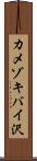 カメゾキバイ沢 Scroll