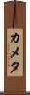 カメタ Scroll