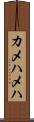 カメハメハ Scroll
