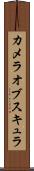 カメラオブスキュラ Scroll