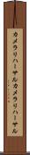 カメラリハーサル Scroll