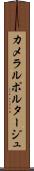 カメラルポルタージュ Scroll