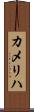 カメリハ Scroll
