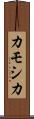 カモシカ Scroll
