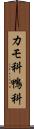 カモ科 Scroll