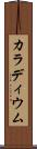 カラディウム Scroll