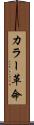 カラー革命 Scroll