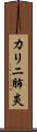カリニ肺炎 Scroll