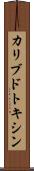 カリブドトキシン Scroll