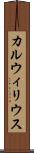 カルウィリウス Scroll
