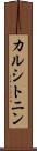 カルシトニン Scroll