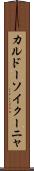 カルドーソイクーニャ Scroll