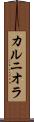 カルニオラ Scroll