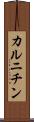 カルニチン Scroll