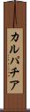 カルパチア Scroll