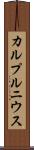 カルプルニウス Scroll