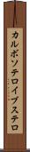 カルボソテロイブステロ Scroll