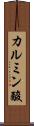 カルミン酸 Scroll
