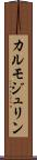 カルモジュリン Scroll