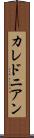 カレドニアン Scroll