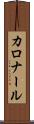 カロナール Scroll