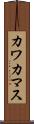 カワカマス Scroll