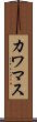 カワマス Scroll