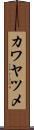 カワヤツメ Scroll
